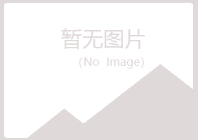 河南夏青化学有限公司